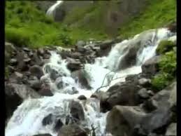 Ucun Kuslar Medineye Feyzullah Koc Mp4 Youtube Youtube Guzel Soz Kus