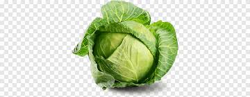10 cara menanam kubis yang baik dan benar. Sayur Kubis Kubis Bunga Terbuka Makanan Sayur Sayuran Png Pngegg