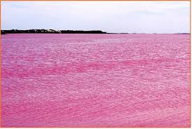 20 Miles From Dakar The Pink Lake Is A Major Attraction For Tourists In Africa Lake Hillier Pink Lake Lake Retba