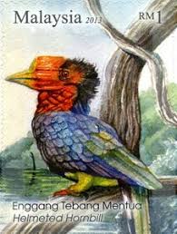 We did not find results for: Setem Helmeted Hornbill Rhinoplax Vigil Malaysia Wonders Of Malaysian Forests Mi My 2047 Wad My024 13