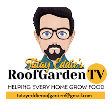 Tatay Eddie's Roof Garden