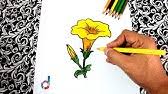 How To Draw A Yellowoleander Flower Easily Youtube How to draw and color red kaner alekhan kala with water color in square for class 10th? how to draw a yellowoleander flower