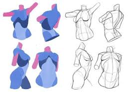 Huge collection, amazing choice, 100+ million high quality, affordable rf and rm images. Cartoon Block Female Torso Anatomy Tips Http Tb Sj Tumblr Com Facebook