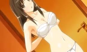 エロアニメ］全裸よりもむしろえろい下着姿にボッキ…純粋そうに見える子が実は一番ﾔﾘﾏﾝ度高い法則 セクロスにも興味津々で情報収集に余念のないヘンタイ  | えろあにちゃん