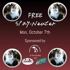 Free Spay Neuter For Low Income Residents Peter Zippi Memorial Fund Inc