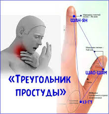 простуда на губе как быстро вылечить в домашних условиях Kak Bystro Vylechit Prostudu V Domashnih Usloviyah Zdorove Akupressura Biologicheski Aktivnye Tochki