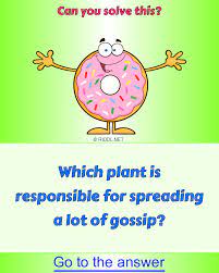 Can You Find The Answer To This Riddle In 2021 Tricky Riddles With Answers Riddles For Adults Brain Teasers