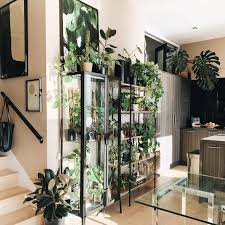 Milsbo Glass Door Cabinet Anthracite 283 4x687 8 73x175 Cm Ikea Plant Decor Indoor Room With Plants Indoor Green Plants