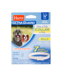 Keep these design tips and ideas in mind as you plan your dream bathroom. Hartz Ultraguard Flea Amp Tick Collar For Dogs And Puppies 7 Months Protection 1ct Walmart Com Walmart Com