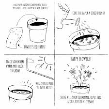 Here's a list of what you'll need: How To Plant Our Eco Friendly Seeded Papers To Ensure Your Flowers Grow