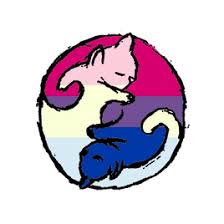 Pin On Pansexual Queer