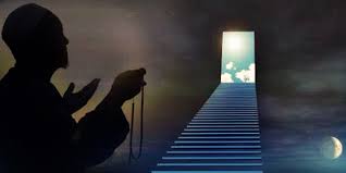 Tanaman hias ini memiliki pinggiran berwarna merah pada daun dan batangnya, sehingga diberi nama sri rejeki lipstik. 8 Pintu Surga Dan Para Penghuninya Seruni Id