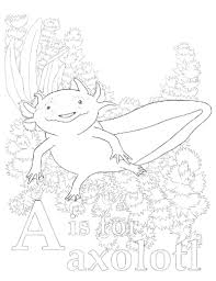 The axolotl inspired coloring pages within this book are a great buy for beginners and coloring book enthusiasts alike that enjoy coloring mandala, paisley and henna style images, as this coloring book is designed for people of any coloring skill level. A Is For Axolotl Murmured Song
