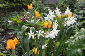 Eine erste bestandsaufnahme zeigt, in welchem zustand sich pflanzen und beete befinden. 7 Garten Ideen Die Im April Freude Machen