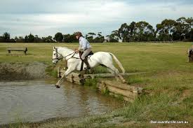The tokyo 2020 summer olympics were his eighth games. Eventing Training With Andrew Hoy Part 1 An Eventful Life