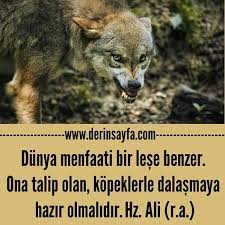 Dunya Menfaati Bir Lese Benzer Ona Talip Olan Kopeklerle Dalasmaya Hazir Olmalidir Hz Ali R A Guzel Sozler Dini Anlamli Sozler Ayrilik Ask Sevgi Sozleri Mesajlari
