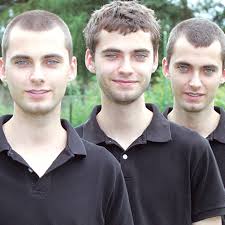 Sogar krank werden sie gleichzeitig