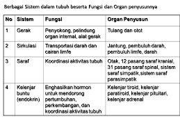 Struktur sel saraf ini mempunyai badan sel yang membentuk ganglion lalu saling menyambung satu dengan yang lainnya menuju sumsum. 9 Organ Tubuh Hewan Ppt Download
