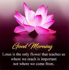 If you searching for inspirational good morning quotes with images. Beautiful Good Morning Status Dp Inspirational Good Morning Quotes