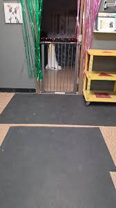 Image result for tbn:ANd9GcT9GTDvoeZslbTfRgc9SbtLfmHl15TvbB2vJ134_7_XnofUBeY3skxFMC8:https://www.doglife.sitew.com/fs/Root/5vdf8-5615663_chien_malade_sur_le_c_t_et_sur_fond_blanc.jpg