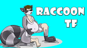 Tons of exclusive whipping content! Raccoon Transformation Raccoon Tftg Part 2 Youtube