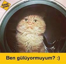 Ben Guluyor Muyum Mizah Matrak Komik Espri Saka Girgir Komiksozler Caps Komik Komik Seyler Komik Fotograflar