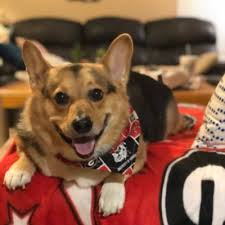 Daniel Goldhahn (@Goldhahn0311)