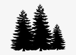 Download Svg Stock Evergreen Tree Line Clipart Pine Tree Silhouette Transparent Png 600x517 Free Download On Nicepng