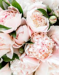 You can't put a price on everything she's done for you, but heartfelt gifts certainly help. Mother S Day Gifts The Perfect Gift Ideas For The Moms In Your Life The Everygirl
