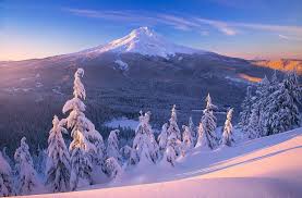 2857883 Nature Landscape Tyrol Winter Sunrise Cabin Mountain Pine Trees Snow Sky Forest Wallpaper