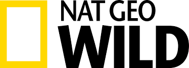 Maybe you would like to learn more about one of these? Nat Geo Wild Reviews Schedule Tv Channels Indian Channels Tv Shows Online