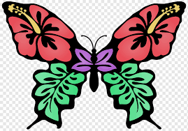 Butterfly on flower drawings with color. Butterfly Flower Drawing Color Butterfly Brush Footed Butterfly Symmetry Insects Png Pngwing
