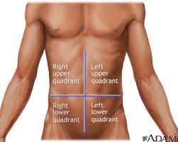 The abdomen is subdivided into four quadrants and nine areas. Abdominal Quadrants Medlineplus Medical Encyclopedia Image