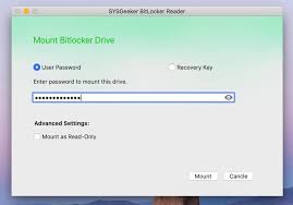 Www Sysgeeker Com Images Bitlocker Bitlocker Re