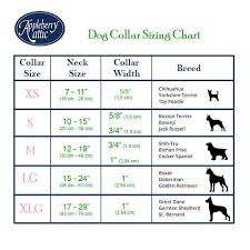 Dog Collars And Cat Collars Size Charts