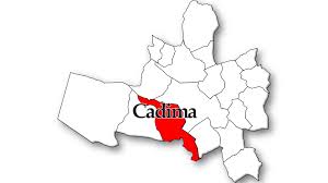 Image result for cadima