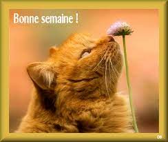 Bonne semaine!" - Merci... DOMINIQUE...