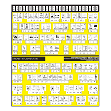 t 102 picturechart class size