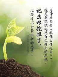 為什麽要念 禮佛大懺悔文 就是要狠狠地挖自己身上的惡根 把惡根挖掉了 以後才不會長出新的惡草 痞客邦
