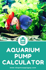 Aquarium Gph Calculator Pump Size Calculator Aquarium Pump Freshwater Aquarium Fish Aquarium