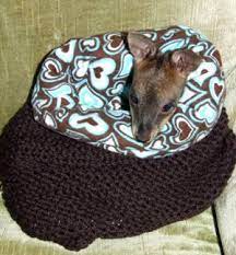 A baby marsupial of any kind—kangaroo, wallaby, koala, tasmanian devil, wombat, possum, etc—is known as a joey. Forget Penguin Jumpers Knit A Marsupial Pouch Knitting Stuffed Animal Patterns Crochet Pouch Animal Projects