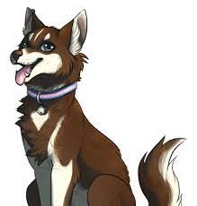 Sketch the ears and the top of the head. Mottimuoto Commission By Hoxau On Deviantart Cute Animal Drawings Canine Art Dog Drawing