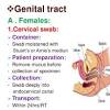 Cervical screening smear osce guide, how to take gynecological history, local pelvic examination skills, obgyn part 1, teaching the patient centered pelvic exam, pap smear test procedure in hindi how is a pap smear exam done how often to be done what age, complete physical exam i, pap test a step by. 1