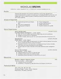 Resume Format Employers Prefer Resume Format Statement Template Resume Examples Resume Format