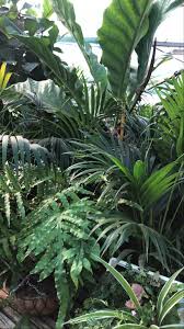 Vivai cantatore da oltre 30 anni è il tuo vivaio in ruvo di puglia. Vivai A Roma Scopri I Migliori Negozi Dove Comprare Piante E Fiori