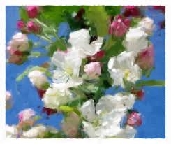 Image result for fotosketcher