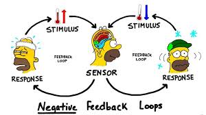 How The Process Of Homeostasis Works In 2020 Biology Notes Nursing Notes Science For Kids
