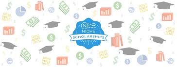 A cranny, hollow, or crevice, as in rock. 5 Easy Scholarships From Niche To Apply For Right Now Niche Blog