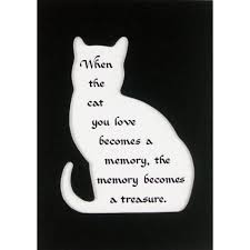  When The Cat You Love Becomes A Memory The Memory Becomes A Treasure Pet Grief Cat Loss Pet Remembrance