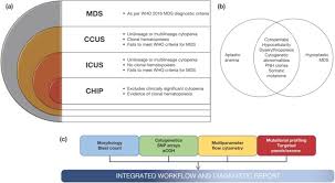Diagnostic Algorithm For Lower Risk Myelodysplastic Syndromes Leukemia